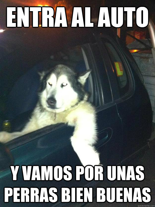Entra al auto y vamos por unas perras bien buenas  Mean Dog