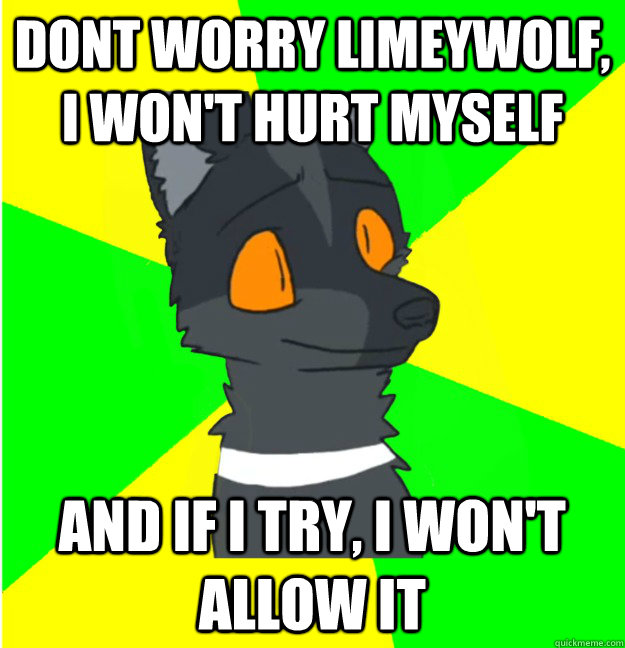 dont worry LimeyWolf, I won't hurt myself and if i try, I won't allow it - dont worry LimeyWolf, I won't hurt myself and if i try, I won't allow it  LimeyWolf