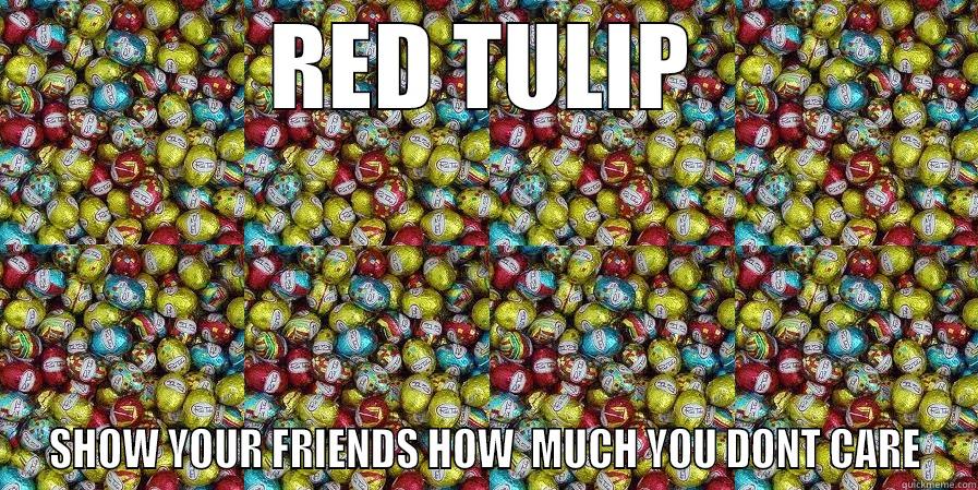 RED TULIP SHOW YOUR FRIENDS HOW  MUCH YOU DONT CARE Misc