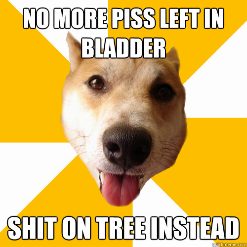 NO MORE PISS LEFT IN BLADDER SHIT ON TREE INSTEAD  