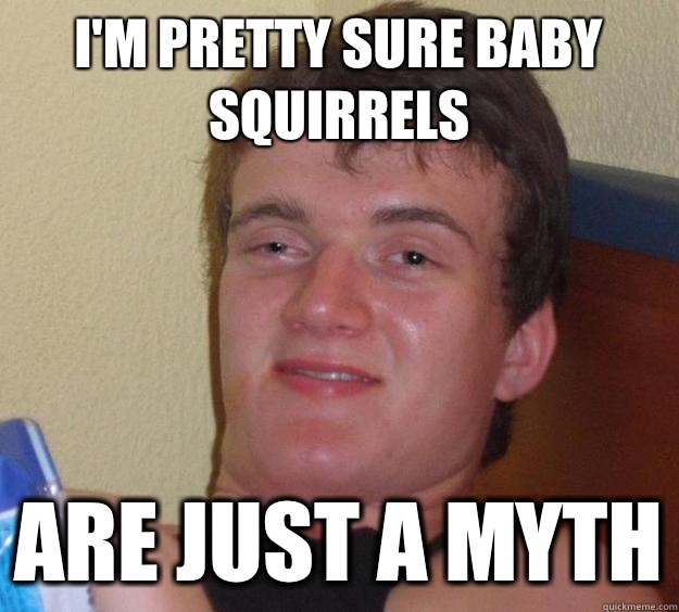 I'm pretty sure baby squirrels Are just a myth  10 Guy