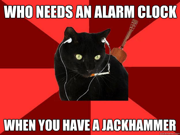 Who needs an alarm clock  when you have a jackhammer   Berklee Cat