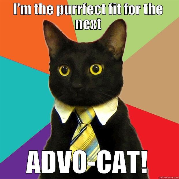 I'M THE PURRFECT FIT FOR THE NEXT ADVO-CAT! Business Cat