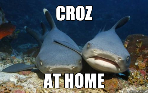 Croz At home  Compassionate Shark Friend