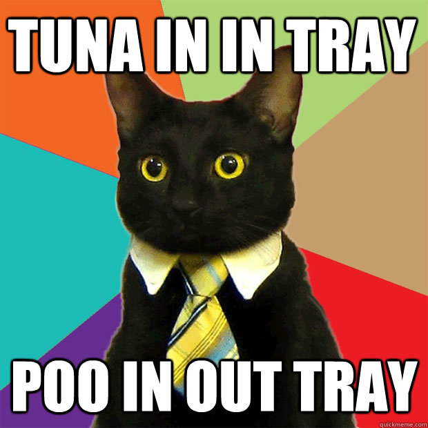 tuna in in tray poo in out tray - tuna in in tray poo in out tray  Business Cat