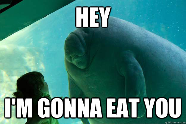 Hey I'm gonna eat you  Overlord Manatee