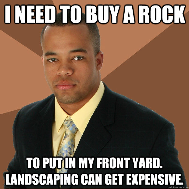 I need to buy a rock to put in my front yard. landscaping can get expensive.  Successful Black Man