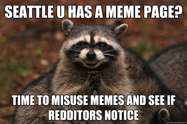 Seattle U has a meme page? time to misuse memes and see if redditors notice  Evil Plotting Raccoon