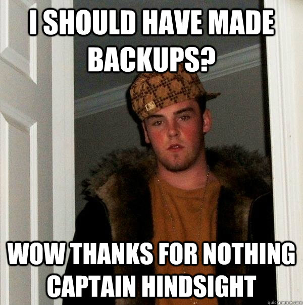 I should have made backups? Wow thanks for nothing Captain Hindsight  Scumbag Steve