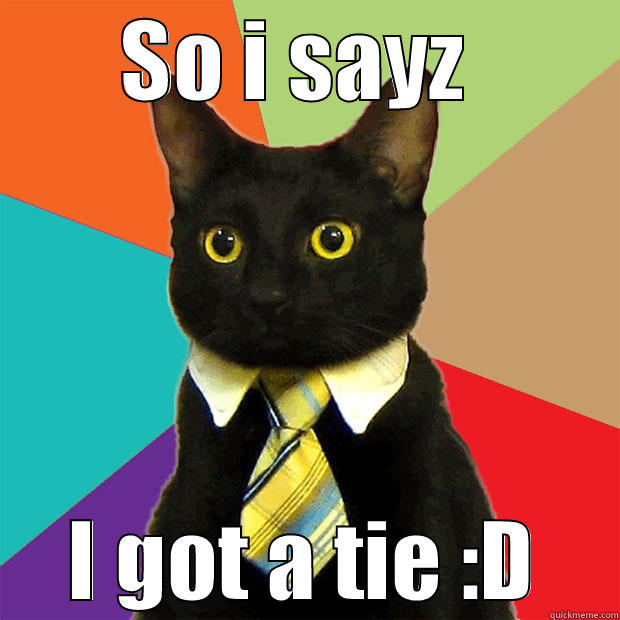 SO I SAYZ  I GOT A TIE :D Business Cat