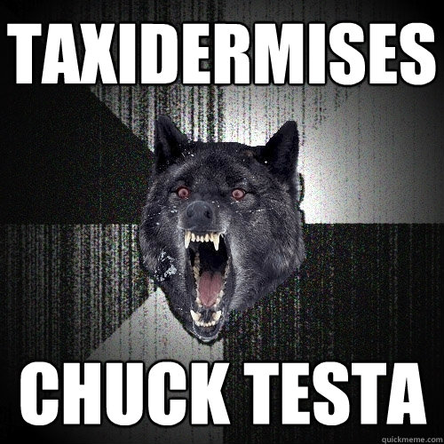 Taxidermises chuck testa - Taxidermises chuck testa  Insanity Wolf