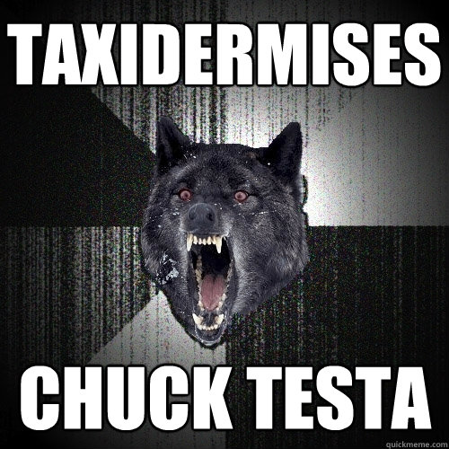 Taxidermises chuck testa  Insanity Wolf