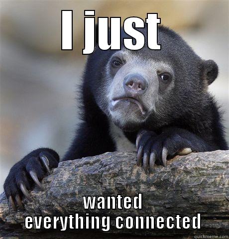 I JUST WANTED EVERYTHING CONNECTED Confession Bear