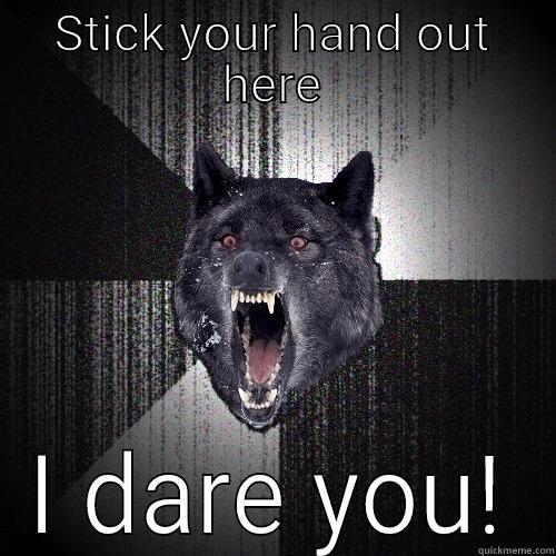 STICK YOUR HAND OUT HERE I DARE YOU! Insanity Wolf