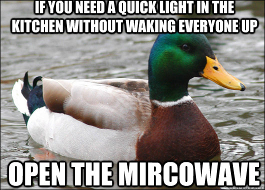 If you need a quick light in the kitchen without waking everyone up Open the mircowave  Actual Advice Mallard
