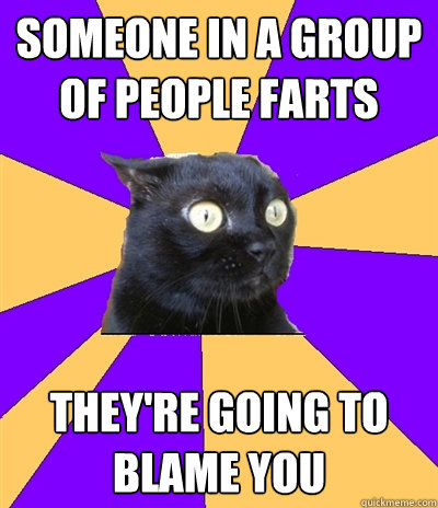 someone in a group of people farts they're going to blame you - someone in a group of people farts they're going to blame you  Anxiety Cat