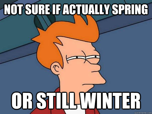 Not sure if actually spring Or still winter - Not sure if actually spring Or still winter  Futurama Fry