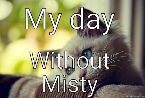 MY DAY WITHOUT MISTY First World Problems Cat