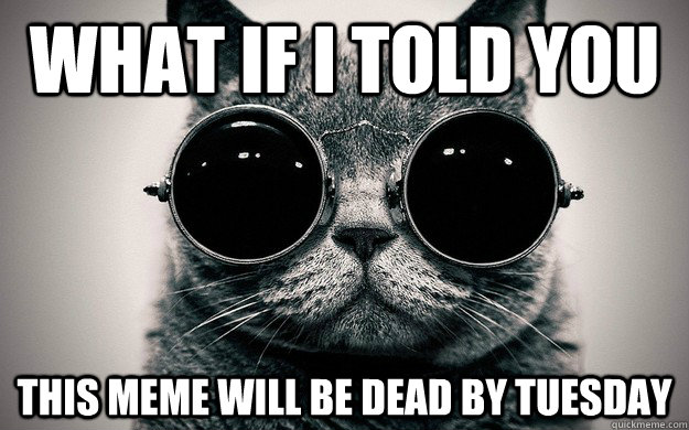 what if I told you this meme will be dead by tuesday  Morpheus Cat Facts