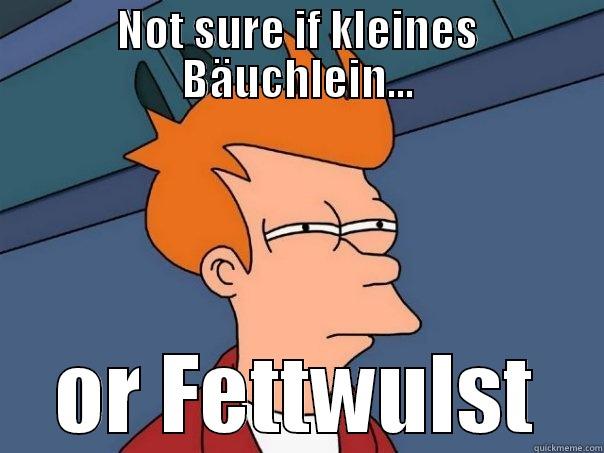 NOT SURE IF KLEINES BÄUCHLEIN... OR FETTWULST Futurama Fry