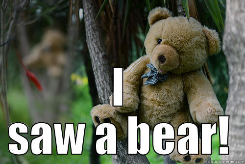  I SAW A BEAR! Misc