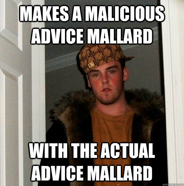 makes a malicious advice mallard With the actual advice mallard  Scumbag Steve