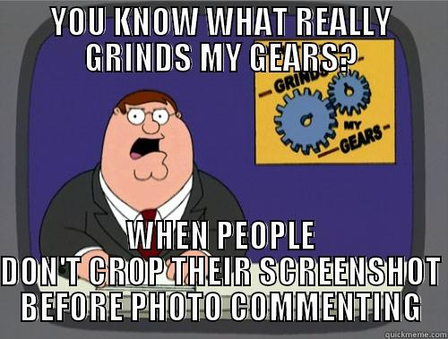 YOU KNOW WHAT REALLY GRINDS MY GEARS? WHEN PEOPLE DON'T CROP THEIR SCREENSHOT BEFORE PHOTO COMMENTING Grinds my gears