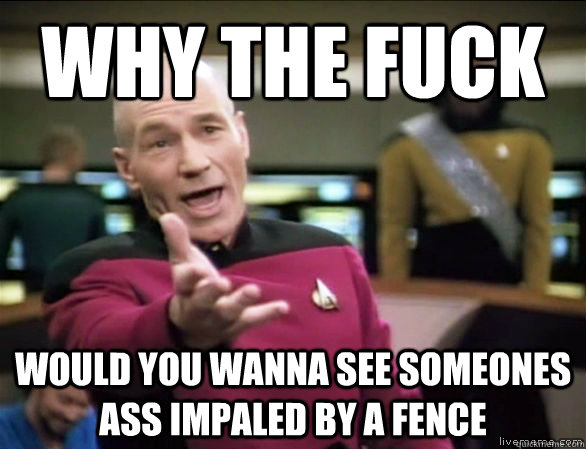 why the fuck Would you wanna see someones ass impaled by a fence  Annoyed Picard HD