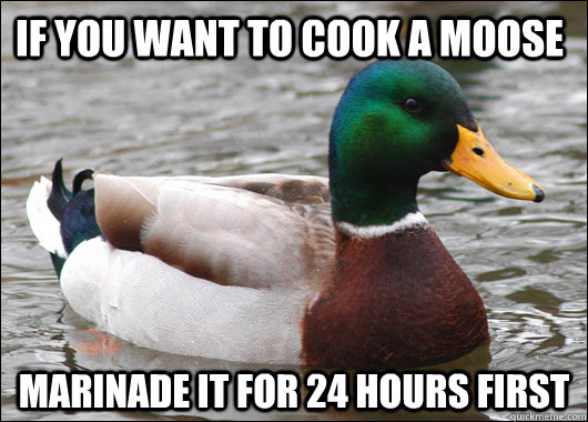 If you want to cook a moose marinade it for 24 hours first  Actual Advice Mallard