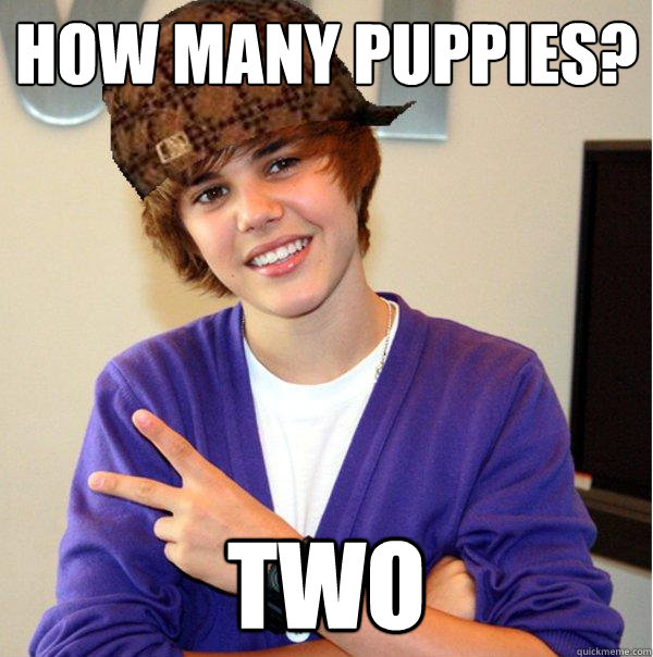 how many puppies? two  Scumbag Beiber
