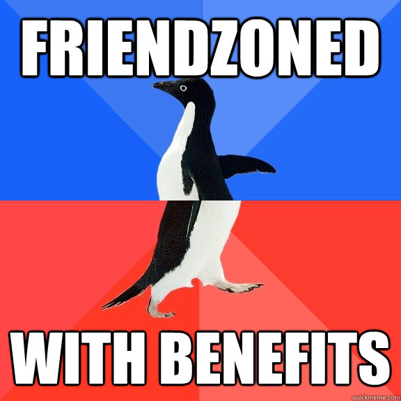 friendzoned with benefits - friendzoned with benefits  Socially Awkward Awesome Penguin