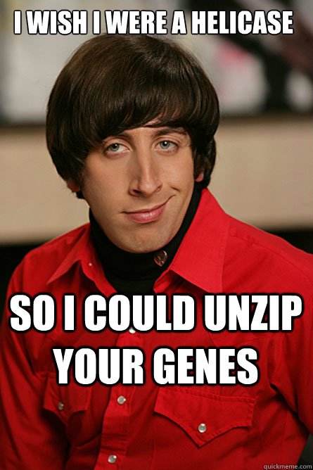 I wish I were a helicase So I could unzip your genes  Pickup Line Scientist