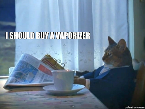 I should buy a vaporizer   Contemplative Breakfast Cat