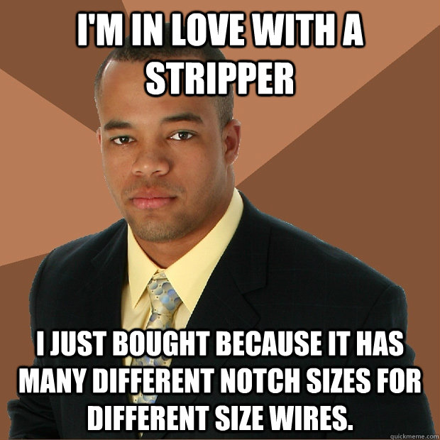 i'm in love with a stripper i just bought because it has many different notch sizes for different size wires.  Successful Black Man