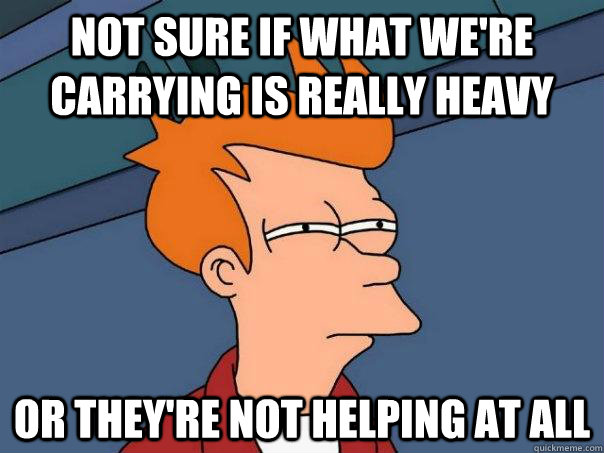 Not sure if what we're carrying is really heavy Or they're not helping at all  Futurama Fry