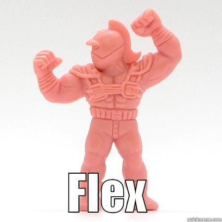  FLEX Misc