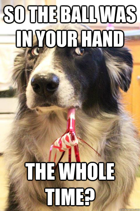 So the ball was in your hand the whole time?  Doubtful Dog