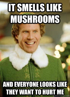 It smells like mushrooms  and everyone looks like they want to hurt me  Buddy the Elf