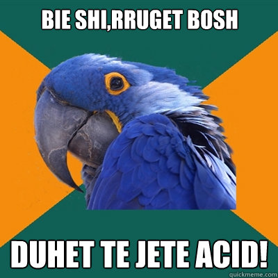 bie shi,rruget bosh duhet te jete acid!  Paranoid Parrot
