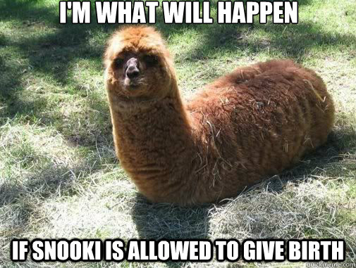 I'm what will happen If snooki is allowed to give birth  Alpacapillar