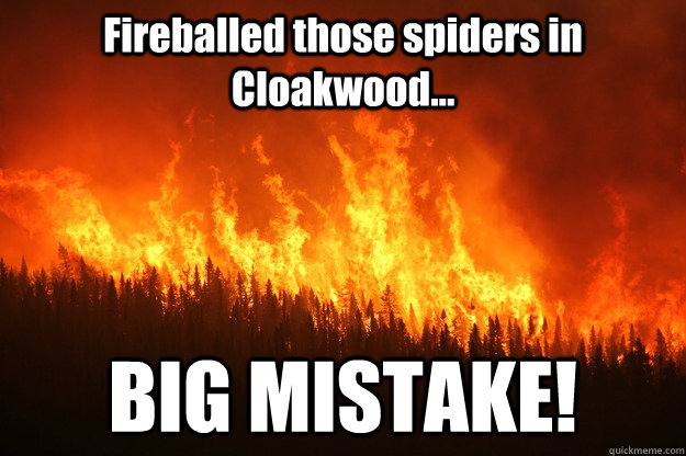 Fireballed those spiders in Cloakwood... BIG MISTAKE! - Fireballed those spiders in Cloakwood... BIG MISTAKE!  Fireballs in Cloakwood