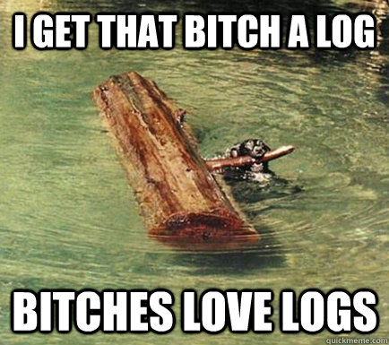 I get that bitch a log Bitches love logs  