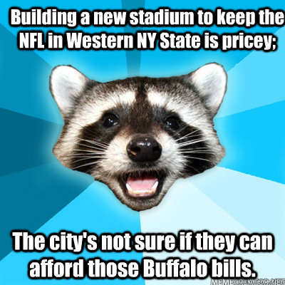 Building a new stadium to keep the NFL in Western NY State is pricey; The city's not sure if they can afford those Buffalo bills.   Lame Pun Raccoon
