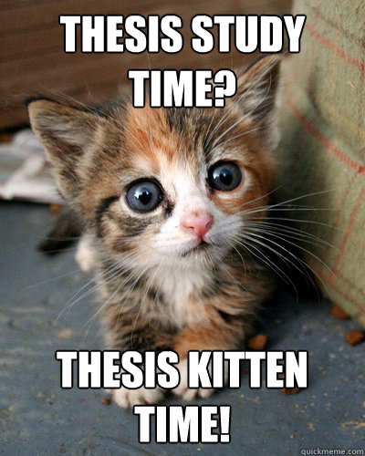 Thesis Study time? Thesis kitten time! - Thesis Study time? Thesis kitten time!  Thesis Kitten