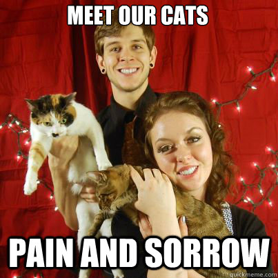 Meet our cats Pain and sorrow  