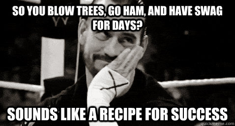 so you blow trees, go ham, and have swag for days? sounds like a recipe for success  Condesending CM Punk