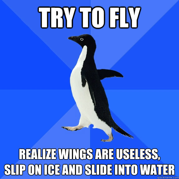 Try to fly Realize wings are useless,
slip on ice and slide into water  Socially Awkward Penguin