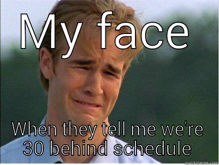MY FACE WHEN THEY TELL ME WE'RE 30 BEHIND SCHEDULE 1990s Problems