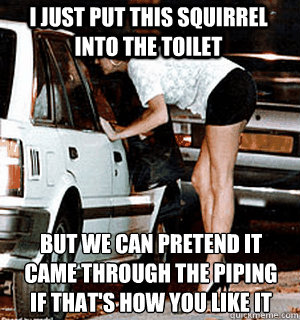 I just put this squirrel into the toilet but we can pretend it came through the piping if that's how you like it
  Karma Whore