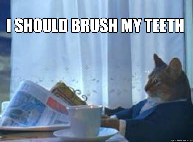 I should brush my teeth  - I should brush my teeth   I should buy a boat cat